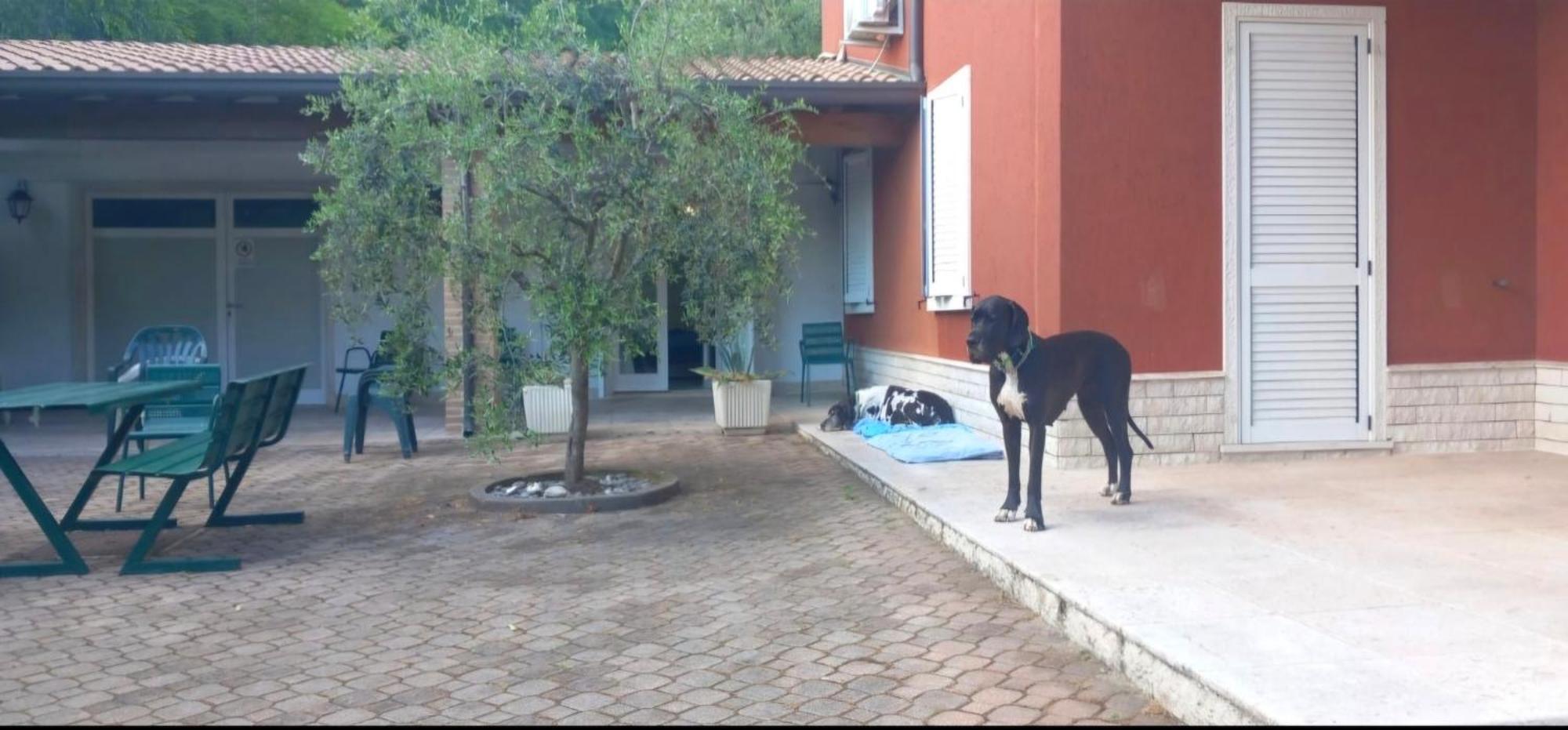 Pace, Luminosita E Comodita A Due Passi Dal Garda Volta Mantovana Exterior photo